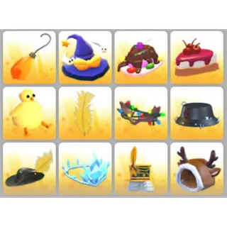 BUNDLE PET WEAR X12