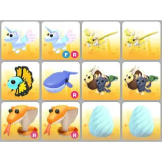 BUNDLE PET X12