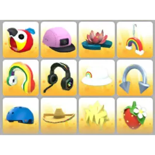 BUNDLE PET WEAR X12