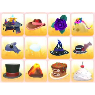 BUNDLE PET WEAR X12