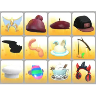 BUNDLE PET WEAR X12