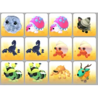 BUNDLE PET X12