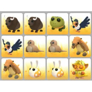 BUNDLE PET X12
