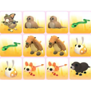BUNDLE PET X12