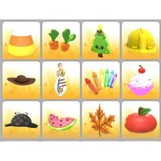 BUNDLE PET WEAR X12