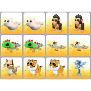 BUNDLE PET X12
