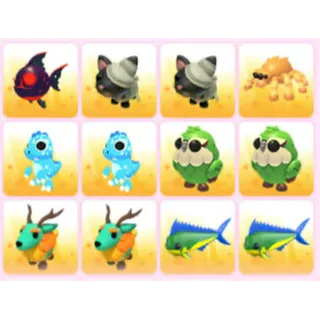 BUNDLE PET X12
