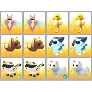 BUNDLE PET X12
