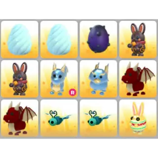 BUNDLE PET X12