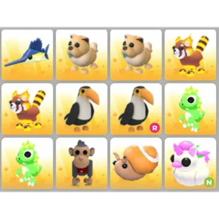 BUNDLE PET X12