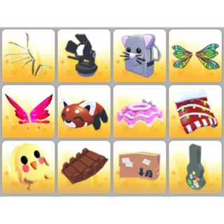 BUNDLE PET WEAR X12
