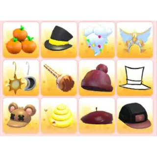 BUNDLE PET WEAR X12
