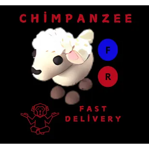 LAMB FR