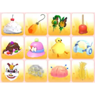 BUNDLE PET WEAR X12