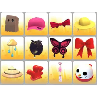 BUNDLE PET WEAR X12