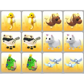 BUNDLE PET X12