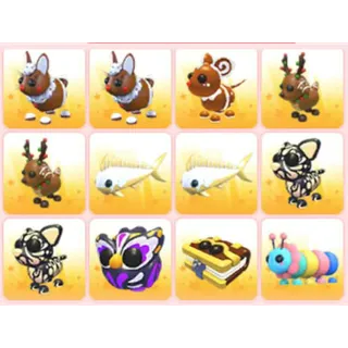 BUNDLE PET X12