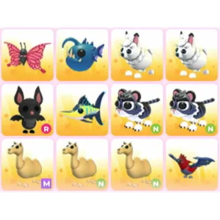 BUNDLE PET X12