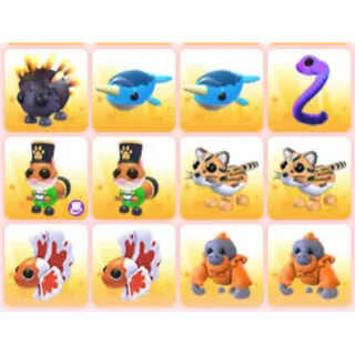 BUNDLE PET X12