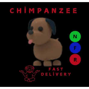 Nfr Chocolate Labrador