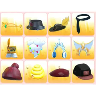 BUNDLE PET WEAR X12