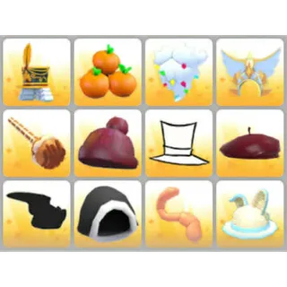 BUNDLE PET WEAR X12