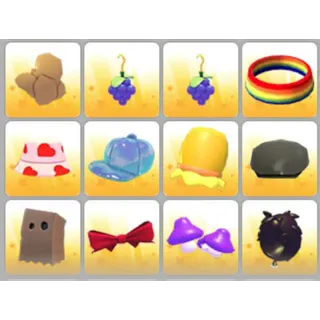 BUNDLE PET WEAR X12