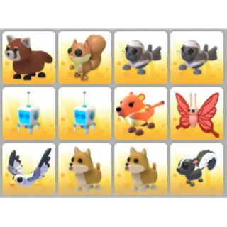 BUNDLE PET X12