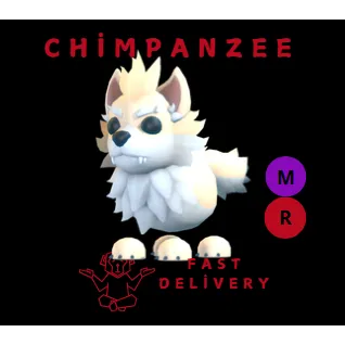 DIRE WOLF MR