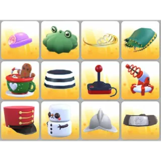 BUNDLE PET WEAR X12
