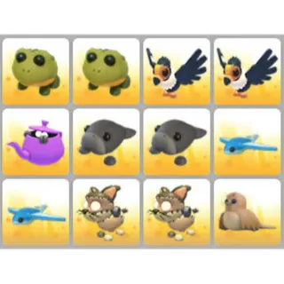 BUNDLE PET X12