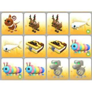 BUNDLE PET X12