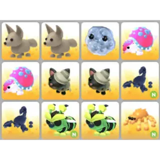 BUNDLE PET X12