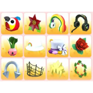 BUNDLE PET WEAR X12