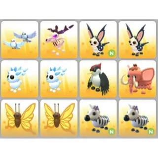 BUNDLE PET X12