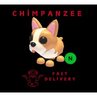 French Bulldog NEON