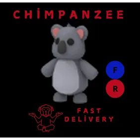 KOALA FR