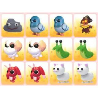 BUNDLE PET X12