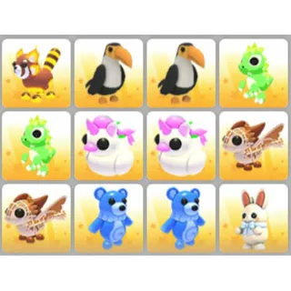 BUNDLE PET X12