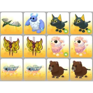 BUNDLE PET X12