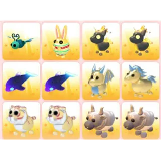 BUNDLE PET X12