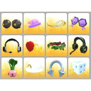 BUNDLE PET WEAR X12