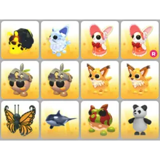 BUNDLE PET X12