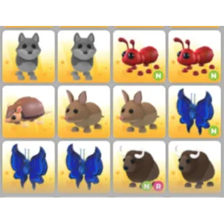 BUNDLE PET X12
