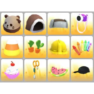 BUNDLE PET WEAR X12