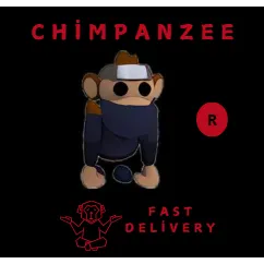 NINJA MONKEY R