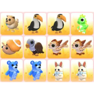 BUNDLE PET X12
