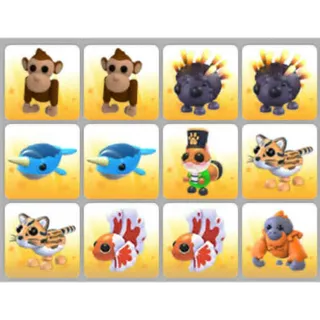 BUNDLE PET X12