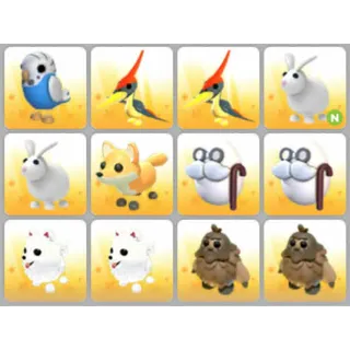 BUNDLE PET X12