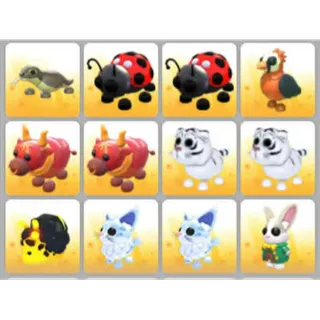BUNDLE PET X12